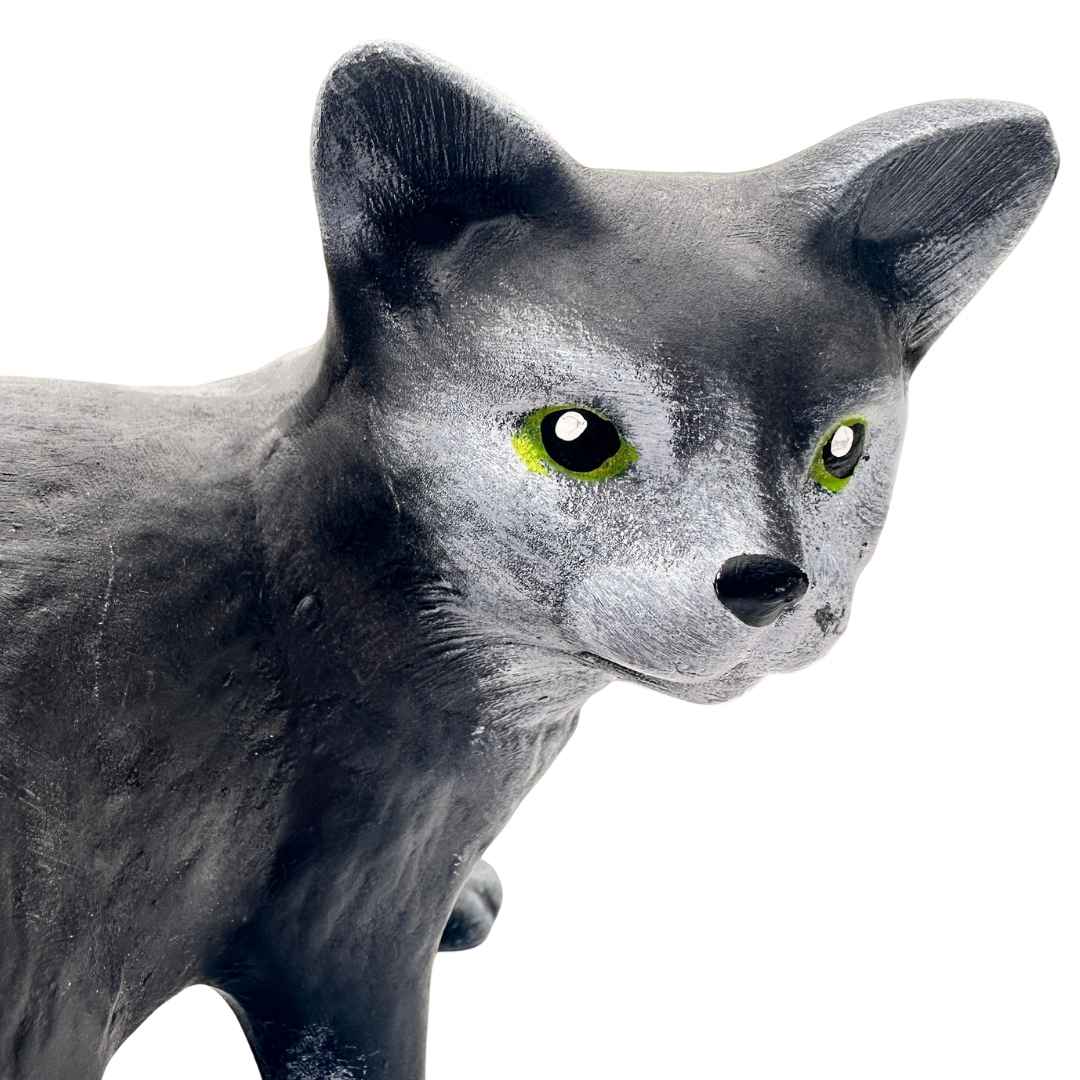 Detail kotěte Čertíka